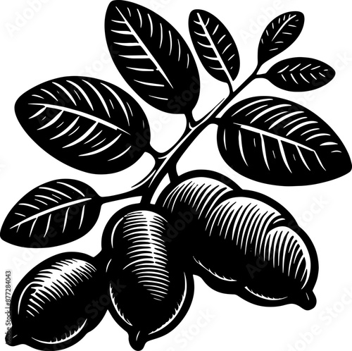 Black Velvet Tamarind Fruit icon 9