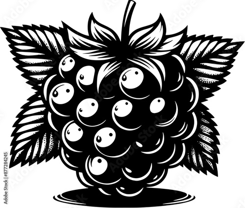 Blackberry Fruit icon 11