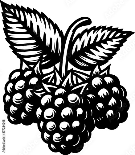 Blackberry Fruit icon 10
