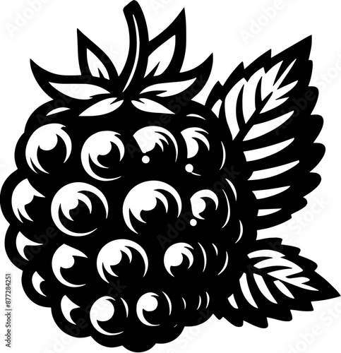 Blackberry Fruit icon 13
