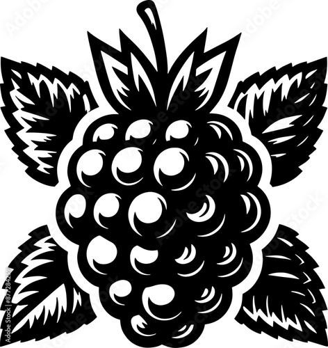 Blackberry Fruit icon 9