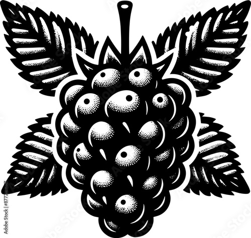Blackberry Fruit icon 12