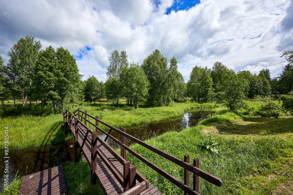 Colorful landscape with a wooden bridge over the river Colorful landscape with a wooden bridge over the river
