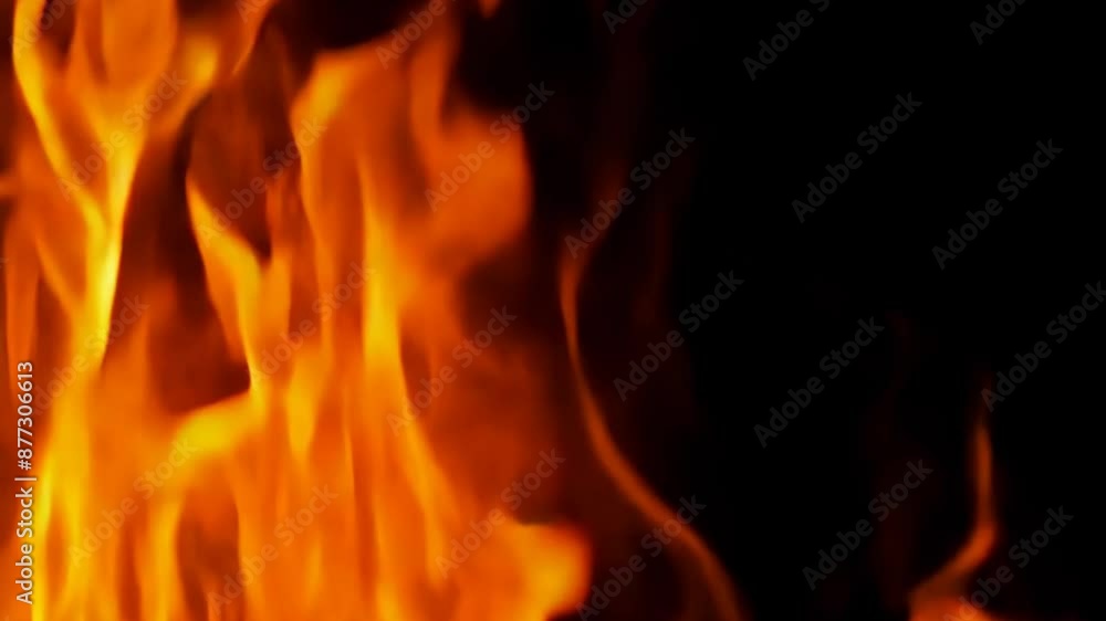 Dynamic flames dance against a dark backdrop, showcasing vibrant orange and yellow hues. Perfect for themes of fire safety, energy, and dramatic effects Dynamic flames dance against a dark backdrop, showcasing vibrant orange and yellow hues. Perfect for themes of fire safety, energy, and dramatic effects