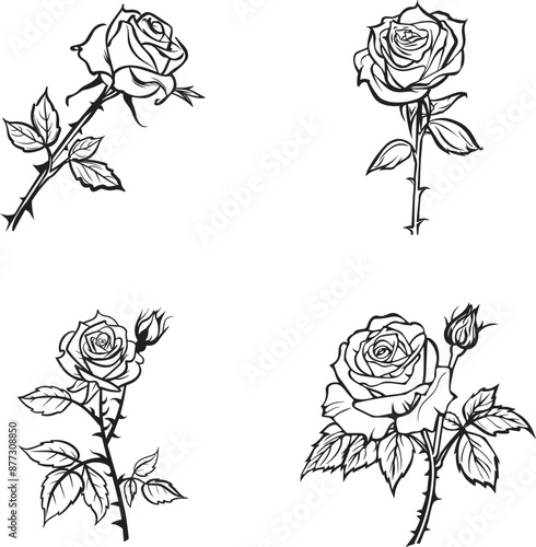 A set of drawings with black and white outlines of rose flower