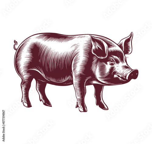 Pig vintage sketch illustrations, generative ai