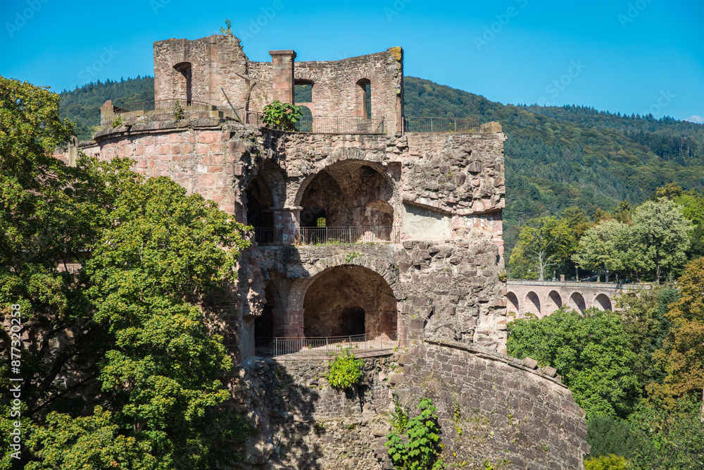 Fototapeta premium Heidelberg, Germany - Cityscape and city skyline