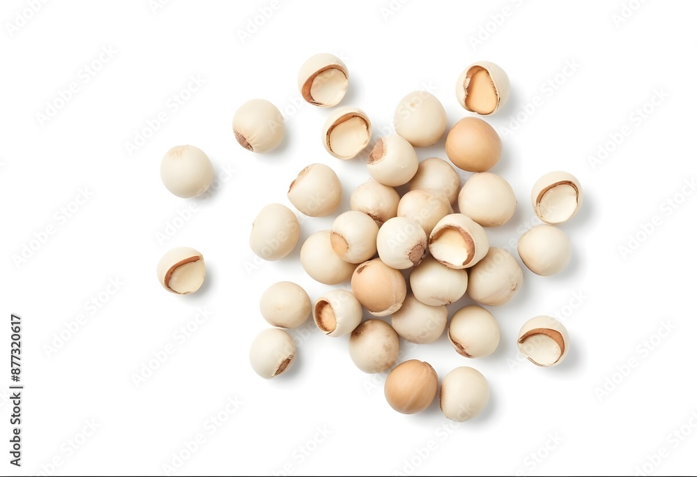 Pile of Macadamia Nuts on a White Background - Rich and Buttery Nuts in a Simple Display Pile of Macadamia Nuts on a White Background - Rich and Buttery Nuts in a Simple Display