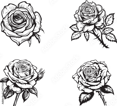 A set of drawings with black and white outlines of rose flower