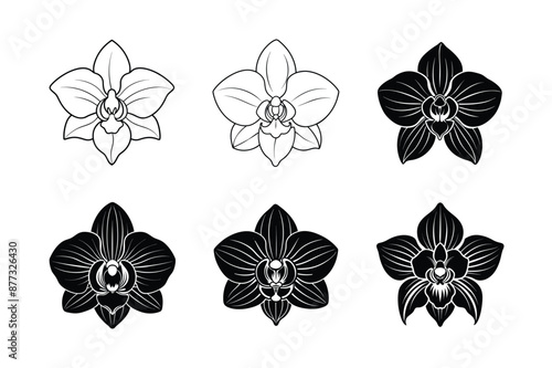Orchid Flower Vector Illustration: Perfect Digital Art for Floral Designs