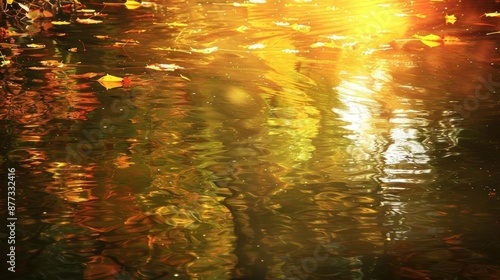 Golden sunlight reflects on a shimmering water surface with autumn leaves, creating a warm and serene natural display in autumn. © Jiraporn