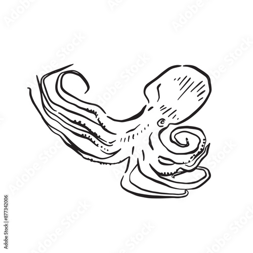 A line drawn octopus, a simple sketch in black and white and drawn by hand. 
