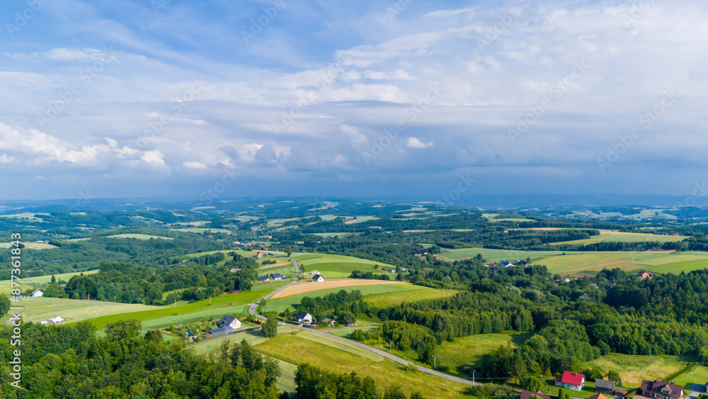 Naklejka premium Rural landscape. Country houses in countryside, aerial view. Village wooden house in rural near forest. Farmhouse in countryside.