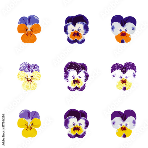 Color Pansies Isolated, Tricolor Viola Close up, Viola Flowers Set, Heartsease Collection, Johnny Jump up or Three Faces in a Hood Flower, Vector Illustration