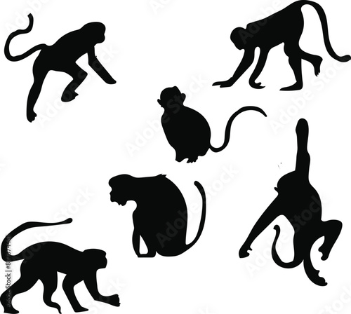 silhouettes of monkey