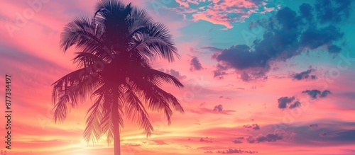 Tropical palm tree silhouetted against a pastel sunset sky creating an abstract tropical background with copy space image Ideal for summer travel and vacations