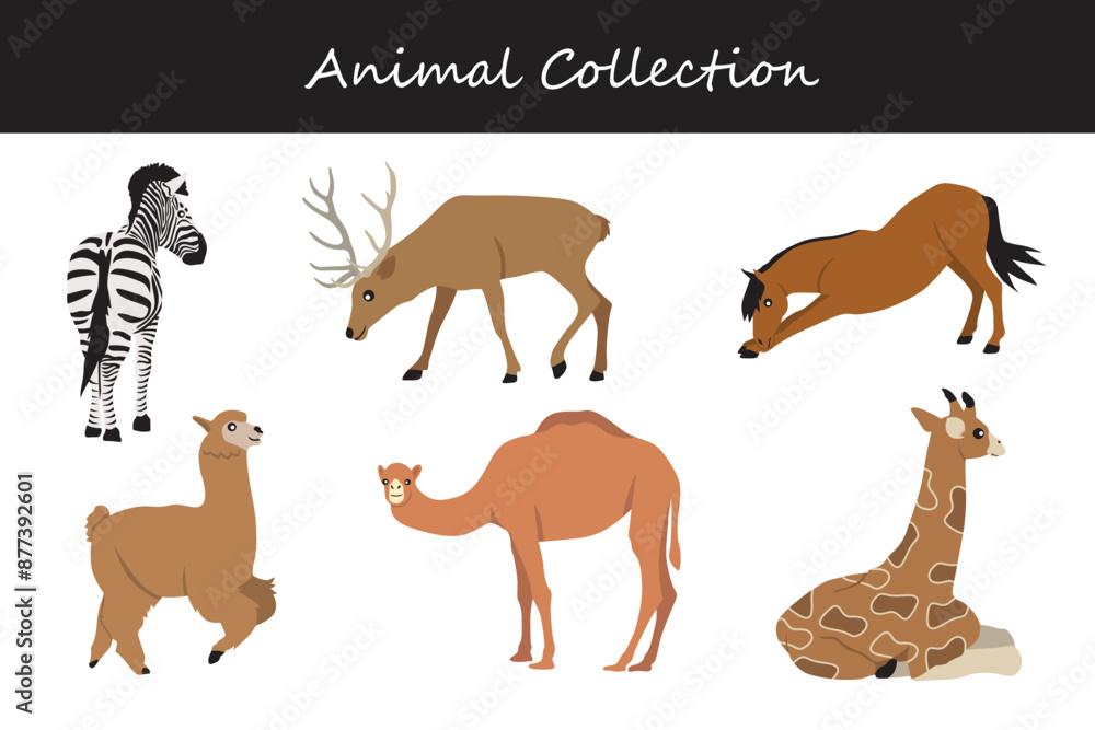 Fototapeta premium Animals collection. Flat style vector illustration.