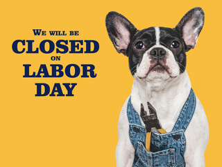 Signboard with the inscription We will be closed on Labor Day. Cute puppy and tools. Closeup. Studio shot. Congratulations for family, loved ones, friends and colleagues. Pets care concept