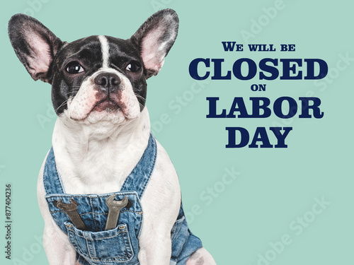 Signboard with the inscription We will be closed on Labor Day. Cute puppy and tools. Closeup. Studio shot. Congratulations for family, loved ones, friends and colleagues. Pets care concept photo