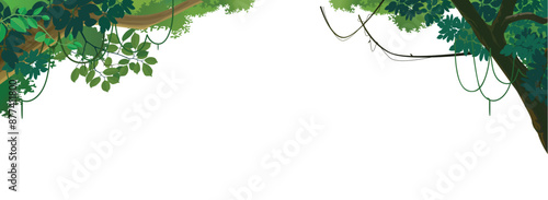 Cartoon liana trees and exotic forests.