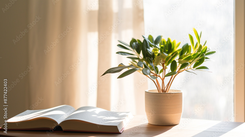 Potted plant and book on white table against blurred window with sun rays Potted plant and book on white table against blurred window with sun rays