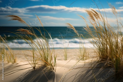 Fototapeta Naklejka Na Ścianę i Meble -  Golden dune grass sways in the breeze on a tranquil sandy beach under a clear blue sky