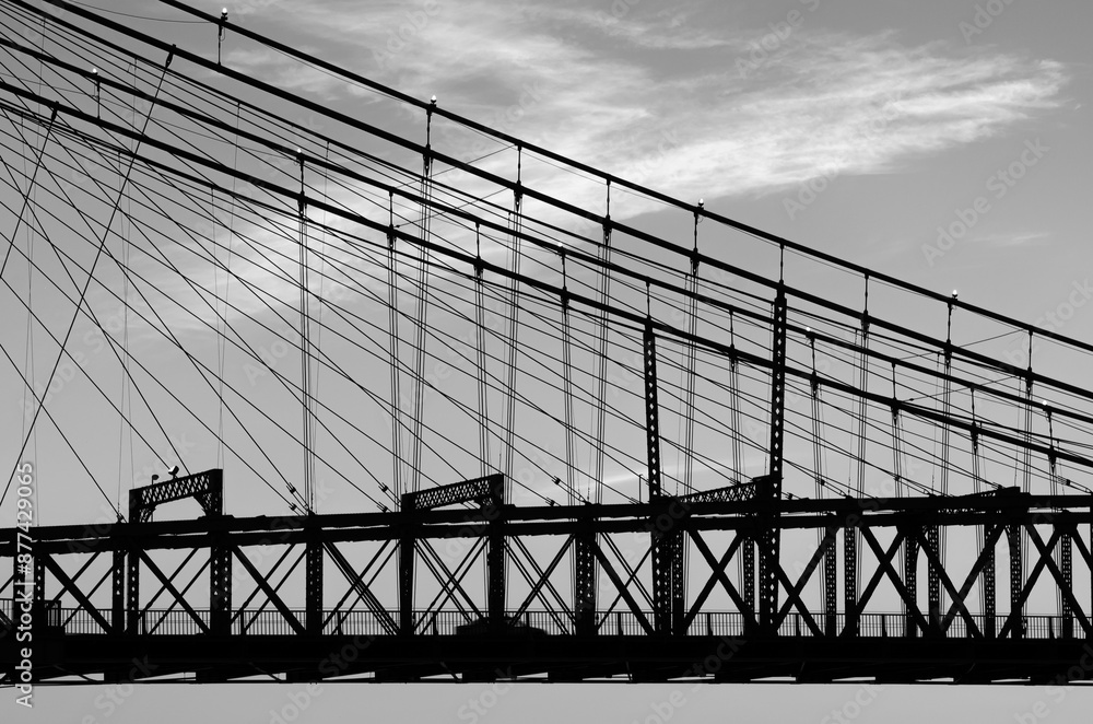 Fototapeta premium black and white roebling bridge