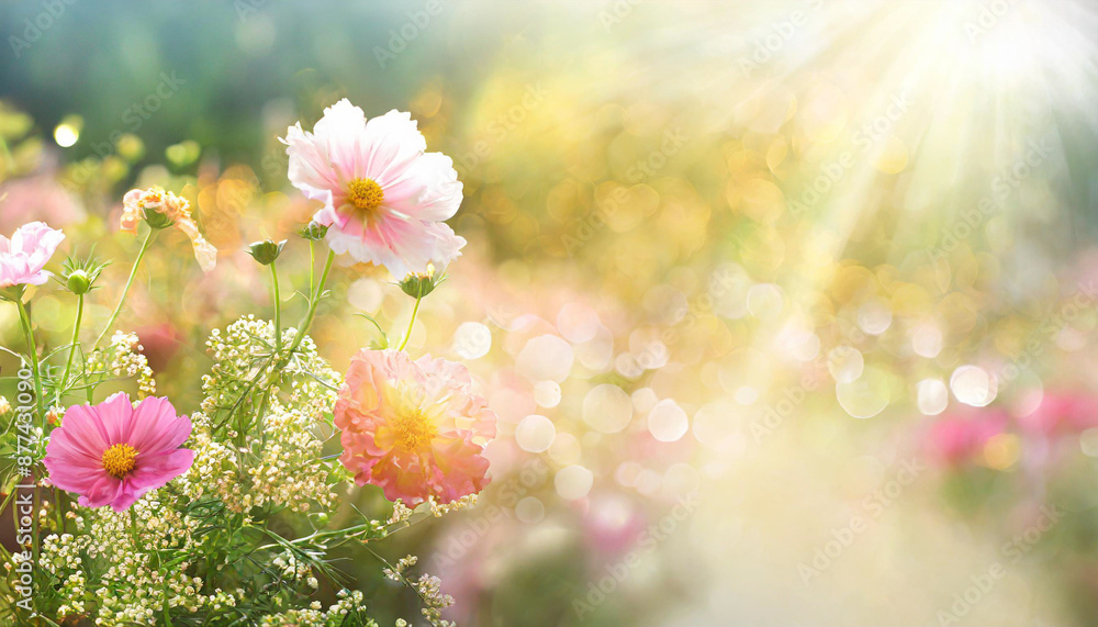 art abstract spring background or summer background with fresh grass art abstract spring background or summer background with fresh grass