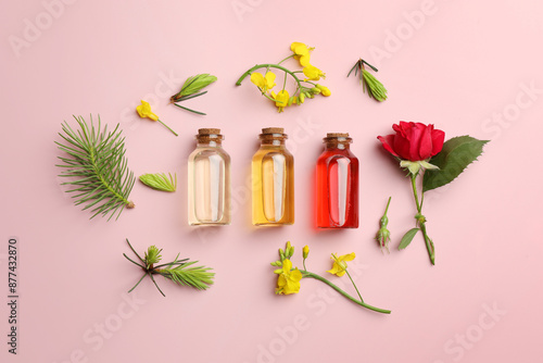 Aromatherapy. Different essential oils, fir twigs and flowers on pink background, flat lay