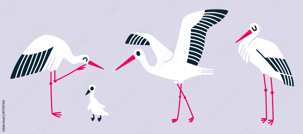 Storks. Birds. Vector. Illustration. Collection Storks. Birds. Vector. Illustration. Collection