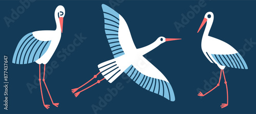 Vector storks isolated on a dark background. Illustration with birds
