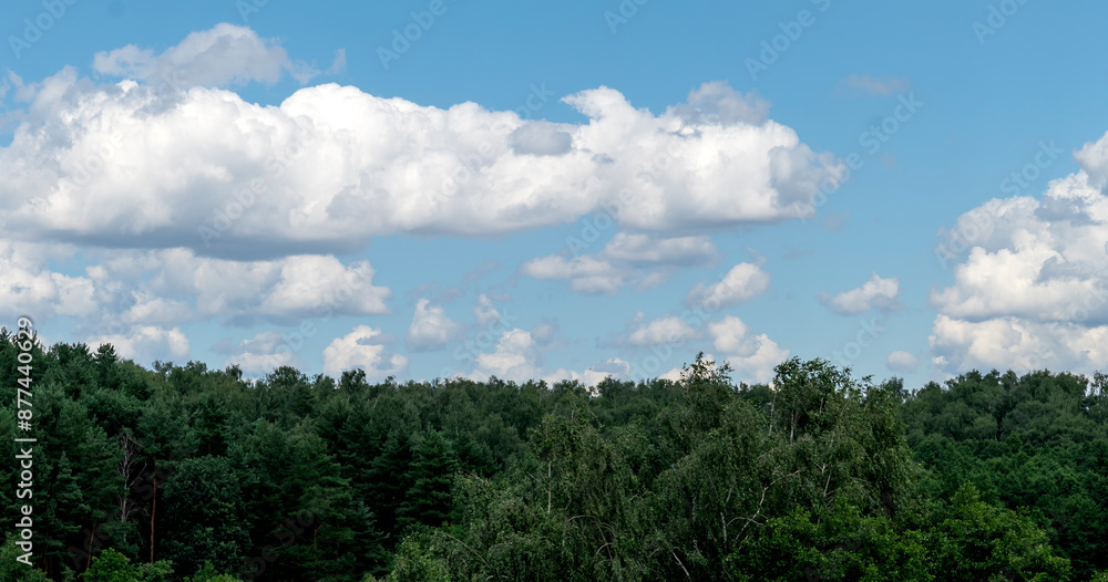 Landscape photo of a forest and clouds hanging above on a beautiful summer day Landscape photo of a forest and clouds hanging above on a beautiful summer day