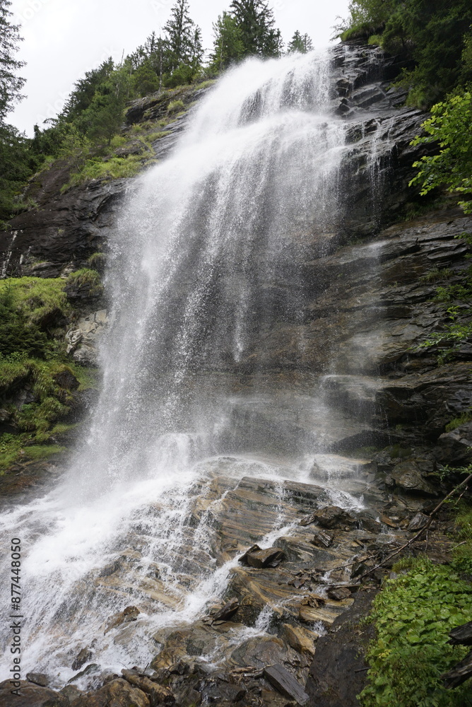 Fototapeta premium waterfall in focus