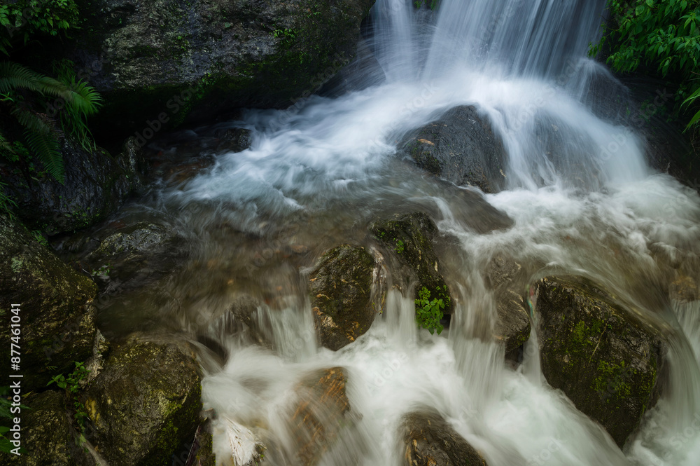 Fototapeta premium Paglajhora waterfall , famous waterfall in monsoon, at Kurseong, Himalayan mountains of Darjeeling, West Bengal, India. Origin of Mahananda River flowing through Mahananda Wildlife Sanctuary.