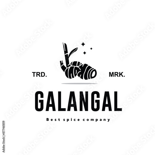 illustration of the galangal spice logo icon, galangal kitchen spice for the cooking industry	