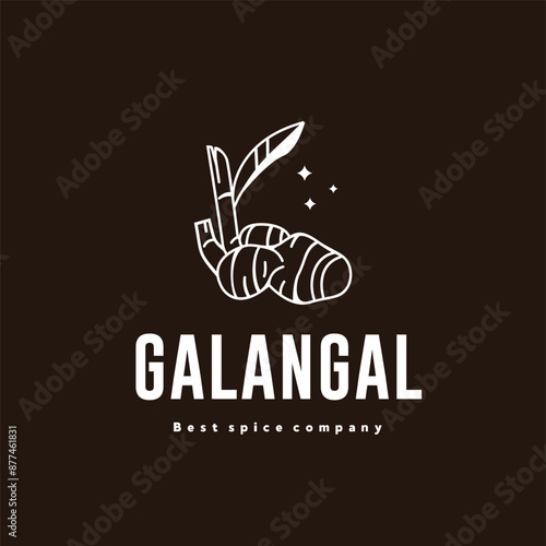 illustration of the galangal spice logo icon, galangal kitchen spice for the cooking industry	
