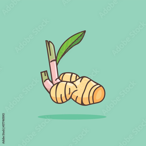 illustration of the galangal spice logo icon, galangal kitchen spice for the cooking industry	