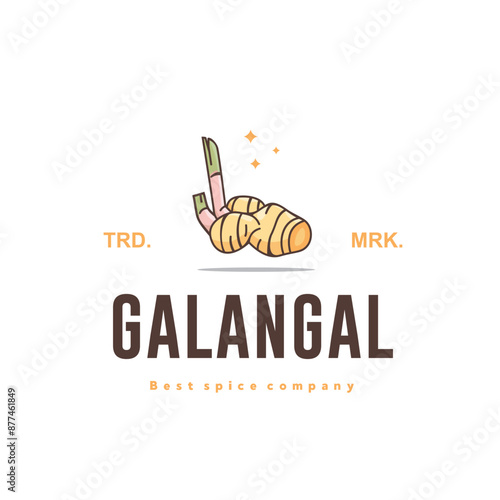 illustration of the galangal spice logo icon, galangal kitchen spice for the cooking industry	