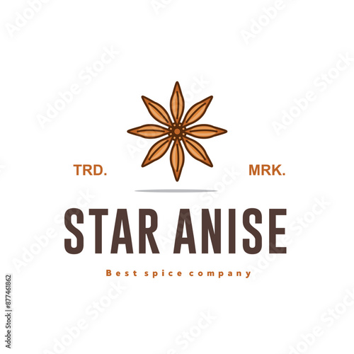 illustration of the star anise spice logo icon, star anise kitchen spice for the cooking industry	