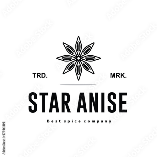 illustration of the star anise spice logo icon, star anise kitchen spice for the cooking industry	
