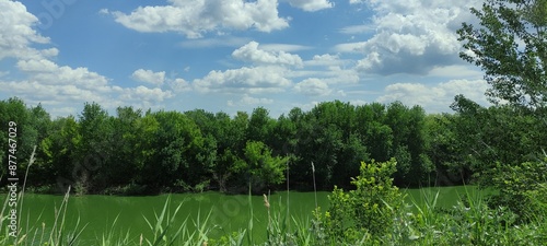 Sunny Day by the River: Serene Nature with Greenery