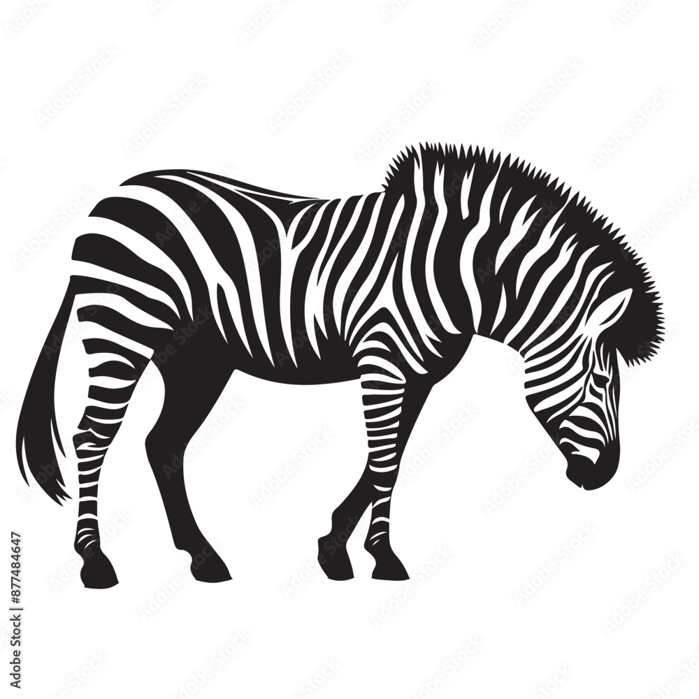 Fototapeta premium zebra Silhouette vector art illustration white back ground