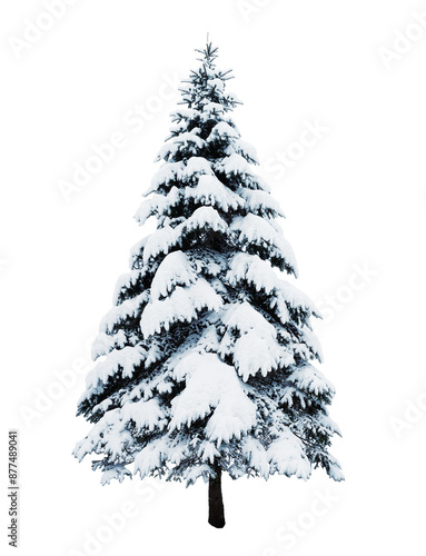 Christmas fir tree  covered with snow isolated.