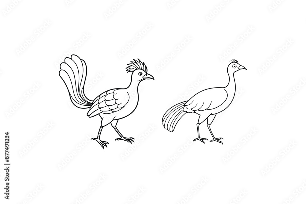 Lyrebird silhouette vector Lyrebird silhouette vector