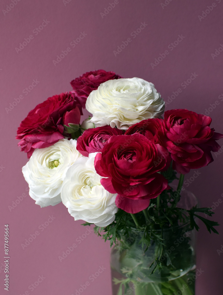 A beautiful bouquet of red and white ranunculus in full bloom. Vertical photo.