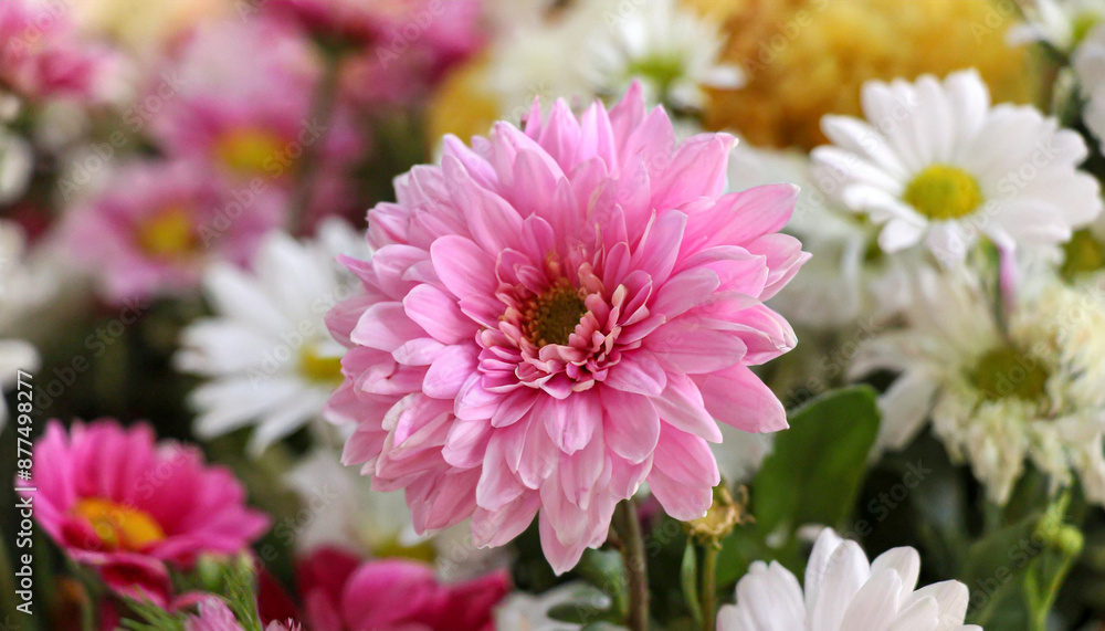 Flower among other flowers in a decorative display Flower among other flowers in a decorative display