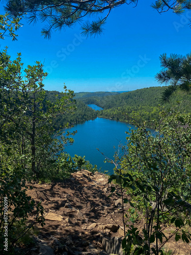 lake and forest