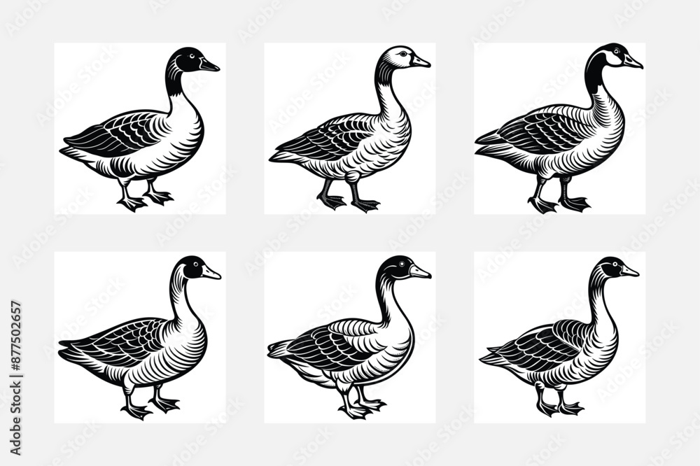 goose and geese simple illustration silhouette set goose and geese simple illustration silhouette set