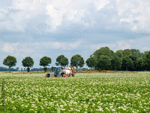 Bilde på lerret Agtricultuur, Flevoland
