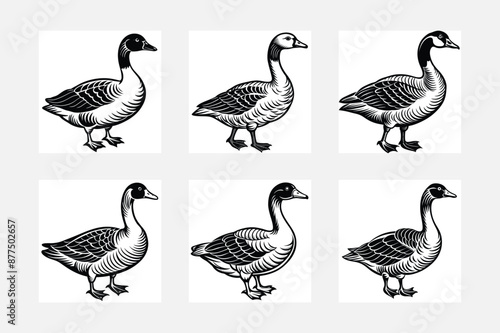 goose and geese simple illustration silhouette set